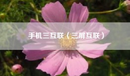 手机三互联（三屏互联）