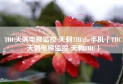 THC天刺电梯监控 天刺THCthc手机「THC天刺电梯监控 天刺THC」