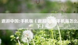 遨游中国2手机版（遨游中国2手机版怎么下）