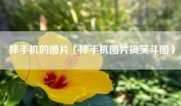摔手机的图片（摔手机图片搞笑斗图）