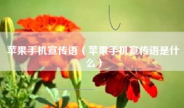 苹果手机宣传语（苹果手机宣传语是什么）