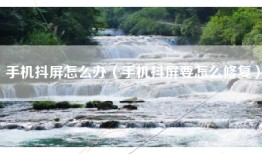 手机抖屏怎么办（手机抖屏要怎么修复）