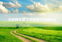 天极网手机（天极网手机报价）