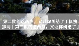 第二批的这两盘，又让你纠结了手机搜狐网「第二批的这两盘，又让你纠结了」