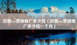 百度seo营销推广多少钱（百度seo营销推广多少钱一个月）