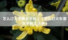 怎么订火车票在手机上（怎么订火车票在手机上小米）