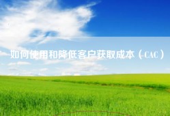 如何使用和降低客户获取成本（CAC）