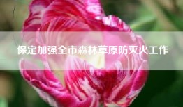 保定加强全市森林草原防灭火工作