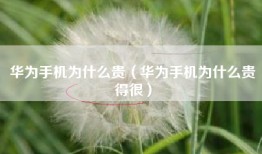 华为手机为什么贵（华为手机为什么贵得很）