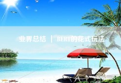业界总结 ｜ BERT的花式玩法