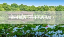 d3o手机壳（d3o手机壳染色）