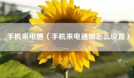 手机来电通（手机来电通知怎么设置）