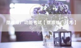 摆渡推广功能考试【摆渡推广技术】