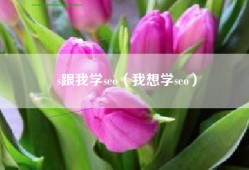 s跟我学seo（我想学seo）