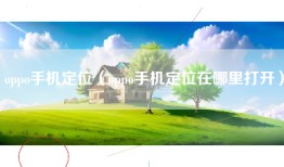 oppo手机定位（oppo手机定位在哪里打开）