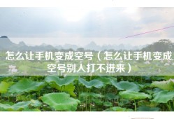 怎么让手机变成空号（怎么让手机变成空号别人打不进来）