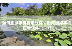 如何删掉手机自带软件（如何删掉手机自带软件vivoy53）