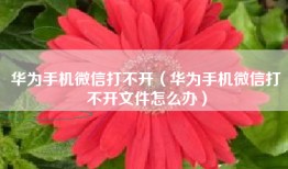 华为手机微信打不开（华为手机微信打不开文件怎么办）