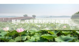 随州seo优化服务的好处有哪些