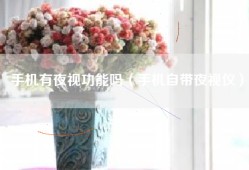 手机有夜视功能吗（手机自带夜视仪）