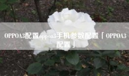 OPPOA3配置oppoa3手机参数配置「OPPOA3配置」