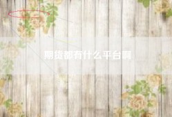 期货都有什么平台啊
