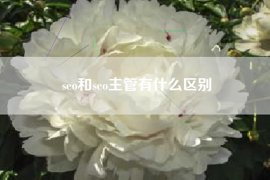 seo和seo主管有什么区别
