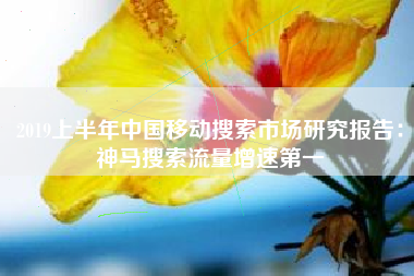 2019上半年中国移动搜索市场研究报告：神马搜索流量增速第一