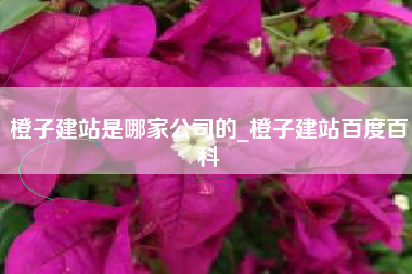 橙子建站是哪家公司的_橙子建站百度百科