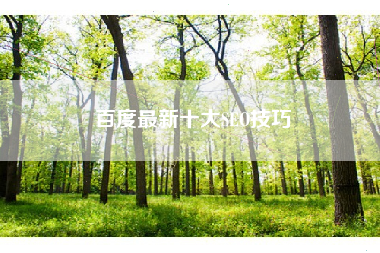 百度最新十大SEO技巧