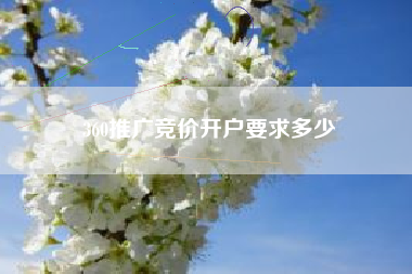 360推广竞价开户要求多少