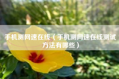 手机测网速在线（手机测网速在线测试方法有哪些）