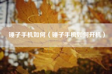 锤子手机如何（锤子手机如何开机）