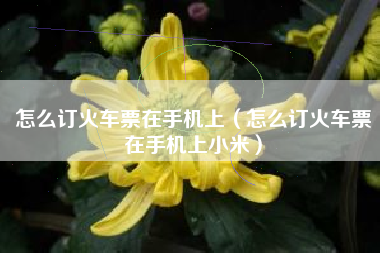 怎么订火车票在手机上（怎么订火车票在手机上小米）