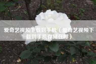 爱奇艺视频下载到手机（爱奇艺视频下载到手机存储在哪）