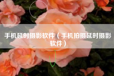 手机延时摄影软件（手机拍摄延时摄影软件）