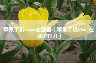 苹果手机icloud在哪里（苹果手机icloud在哪里打开）