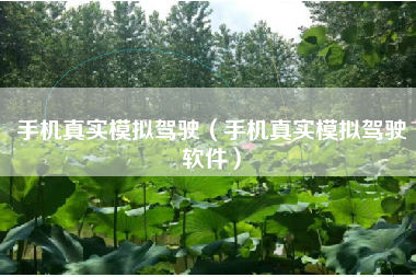 手机真实模拟驾驶（手机真实模拟驾驶软件）
