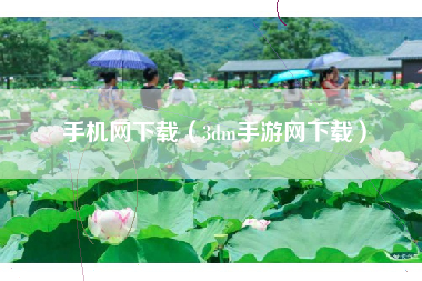 手机网下载（3dm手游网下载）