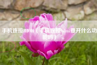 手机连接HDMI（手机连接hdmi要开什么功能吗）