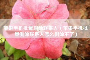 苹果手机批量删除联系人（苹果手机批量删除联系人怎么删除不了）