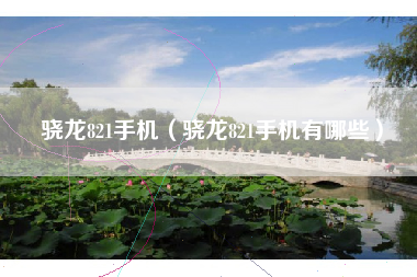 骁龙821手机（骁龙821手机有哪些）
