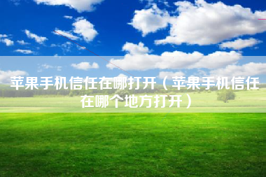 苹果手机信任在哪打开（苹果手机信任在哪个地方打开）