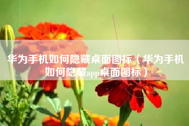 华为手机如何隐藏桌面图标（华为手机如何隐藏app桌面图标）