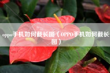 oppo手机如何截长图（OPPO手机如何截长图）