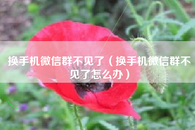 换手机微信群不见了（换手机微信群不见了怎么办）