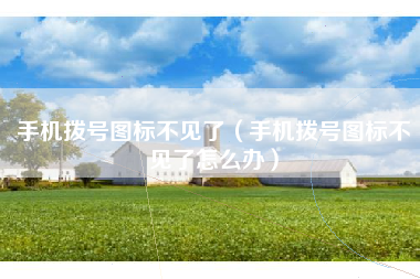 手机拨号图标不见了（手机拨号图标不见了怎么办）