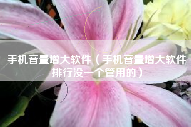 手机音量增大软件（手机音量增大软件排行没一个管用的）