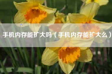 手机内存能扩大吗（手机内存能扩大么）