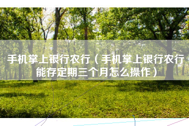 手机掌上银行农行（手机掌上银行农行能存定期三个月怎么操作）